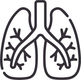 Icono de unos pulmones.